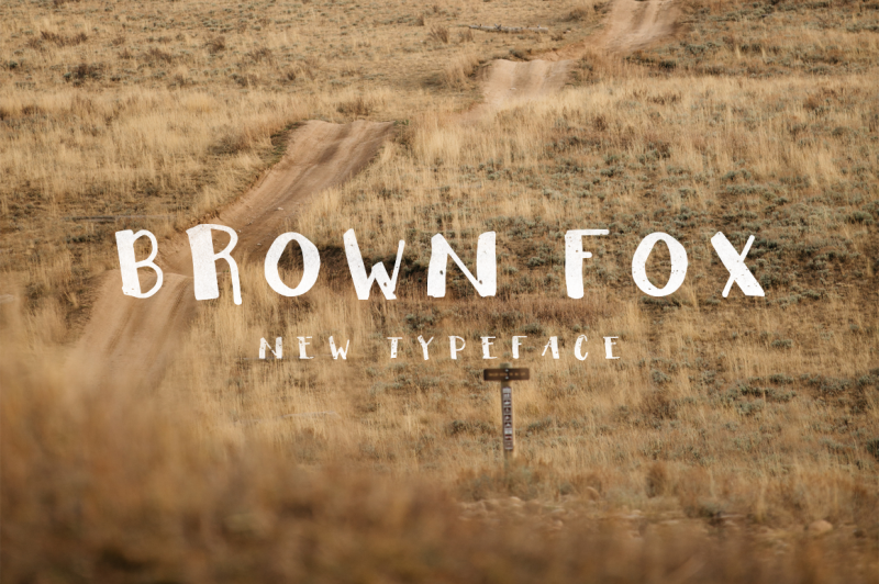 brown-fox-script