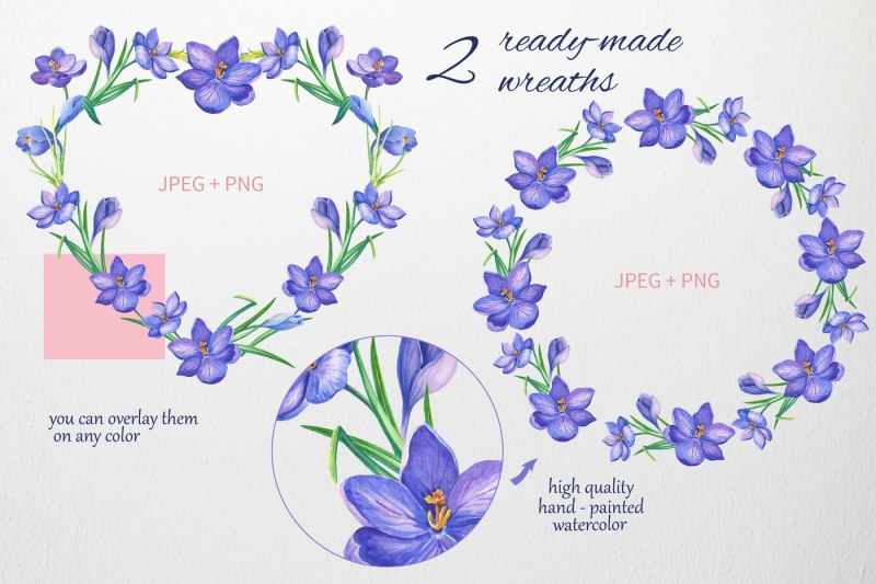 crocuses-for-you-watercolor-clipart