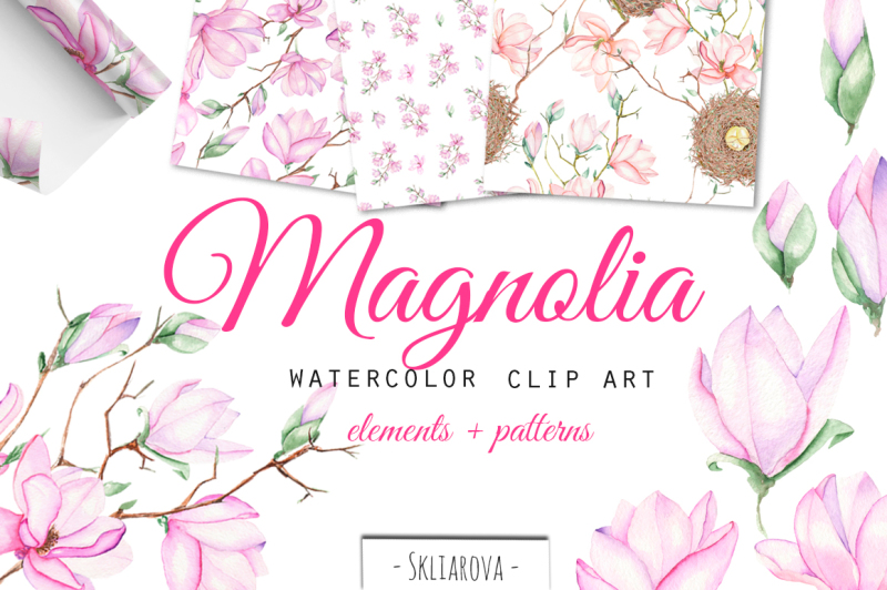 spring-magnolia-watercolor-clip-art