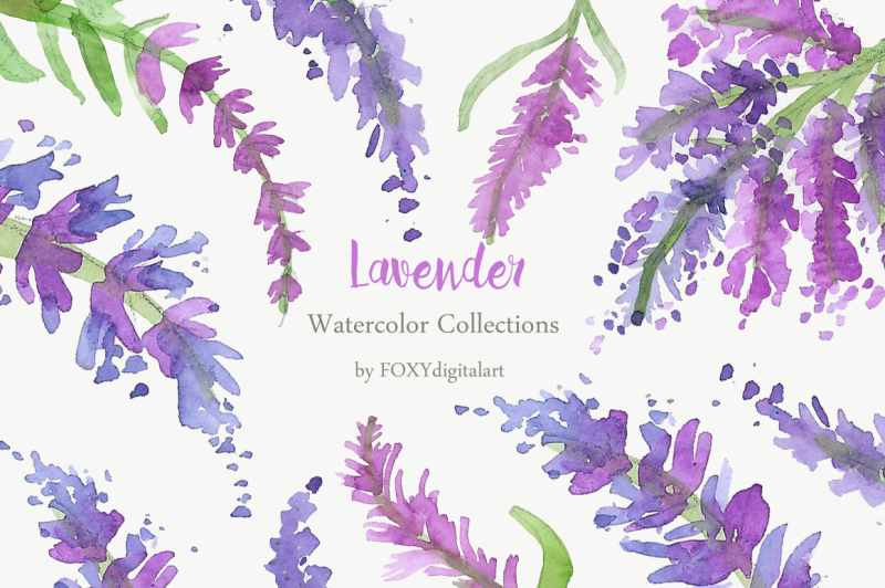 lavender-clipart-watercolor-lavender-clipart