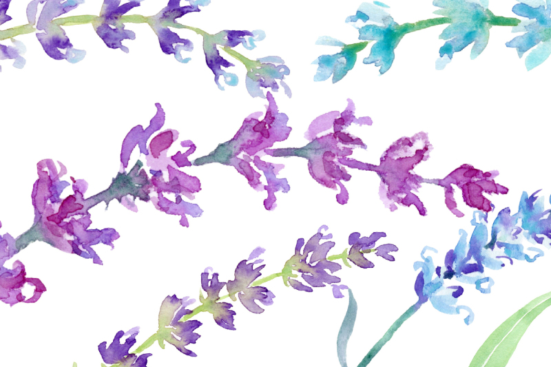 watercolor-lavender-collection