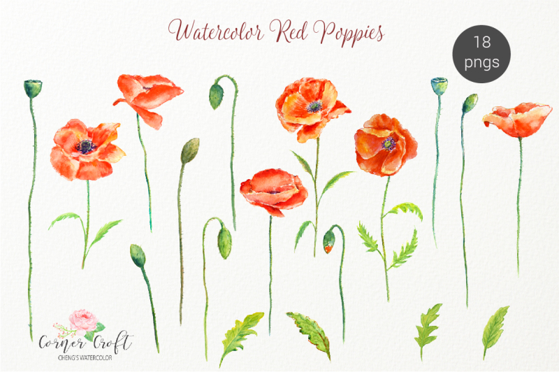 watercolor-poppy-clipart