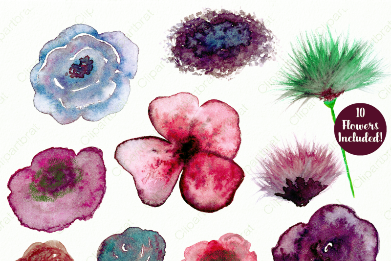 exotic-watercolor-flowers-unique-blush-pink-and-burgundy-floral-elements-graphic-set