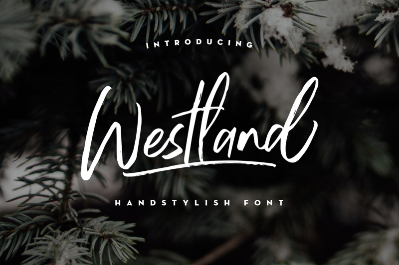 westland-handstylish-font