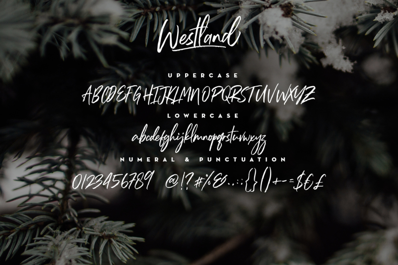 westland-handstylish-font