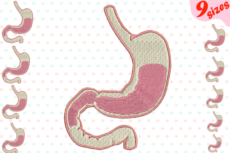 stomach-embroidery-design-machine-instant-download-commercial-use-digital-file-icon-science-school-nurse-biology-medic-organs-anatomy-stomach-cancer-esophageal-awareness-168b