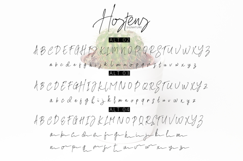 hostens-signature
