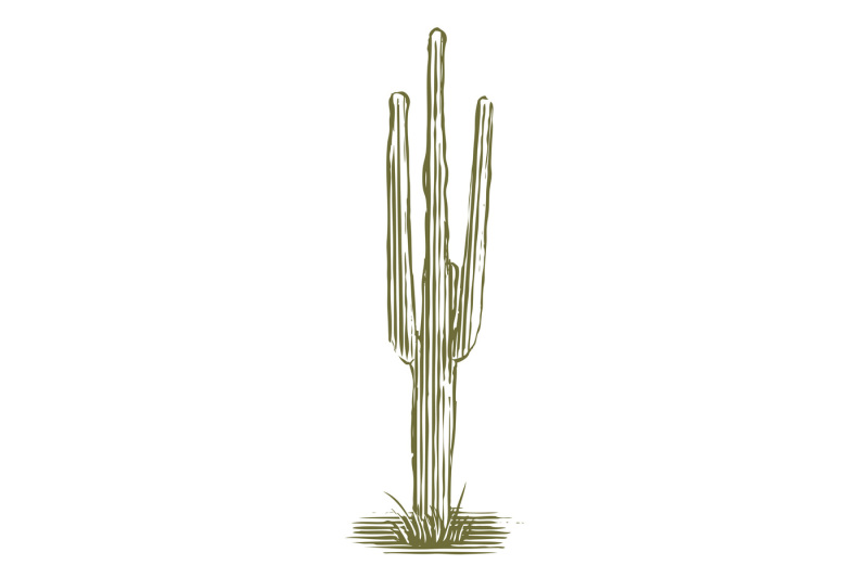 woodcut-cactus