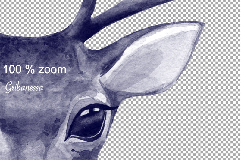 noble-deer-monochrome-watercolor-png