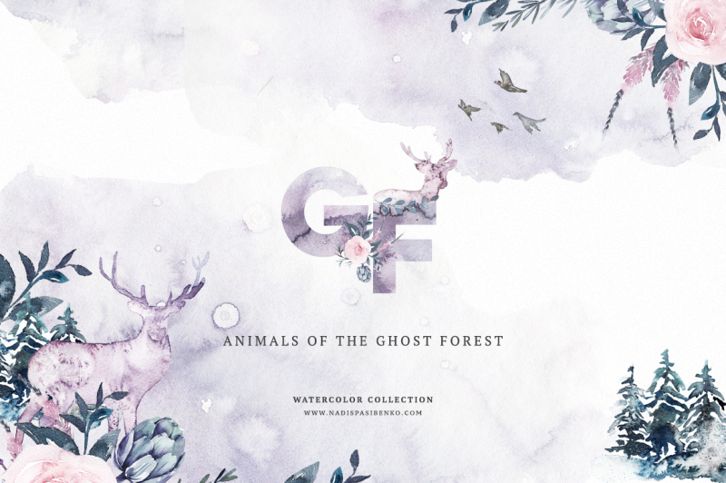 animals-of-the-ghost-forest