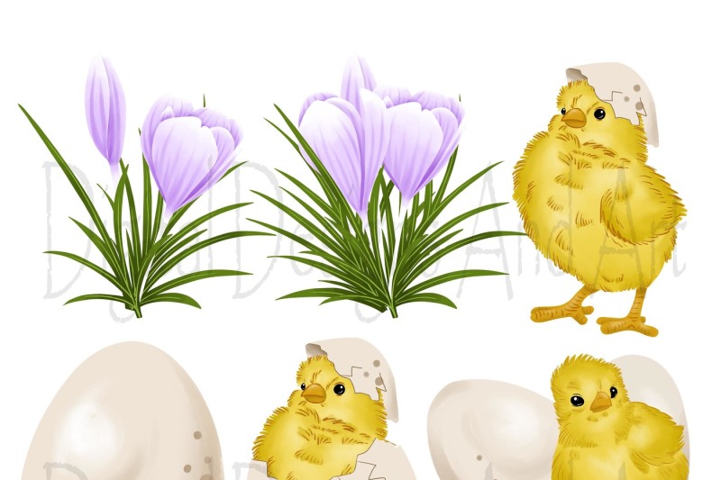 easter-chicken-clipart