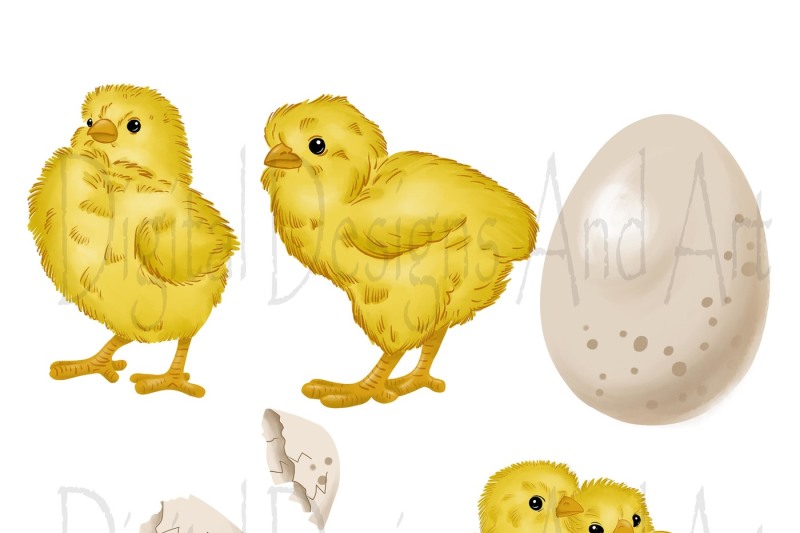 easter-chicken-clipart