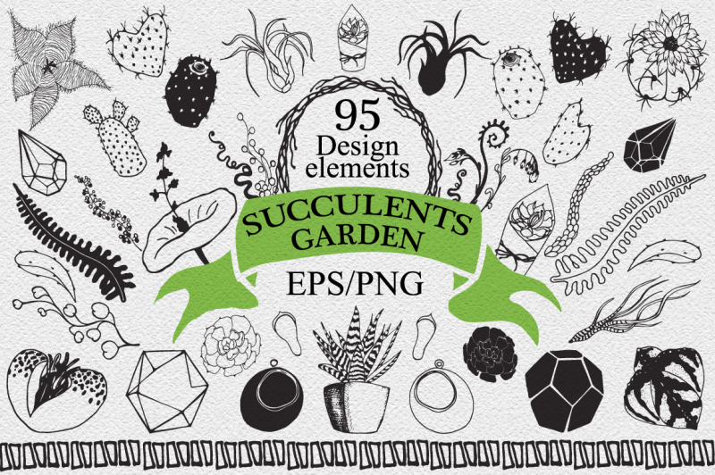 succulents-and-cactus-garden-vector-hand-drawn-design-elements