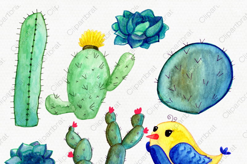 cute-watercolor-llamas-cactus-and-succulents