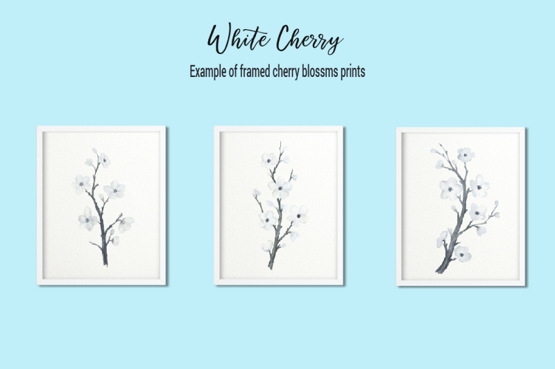 watercolor-white-cherry-blossoms