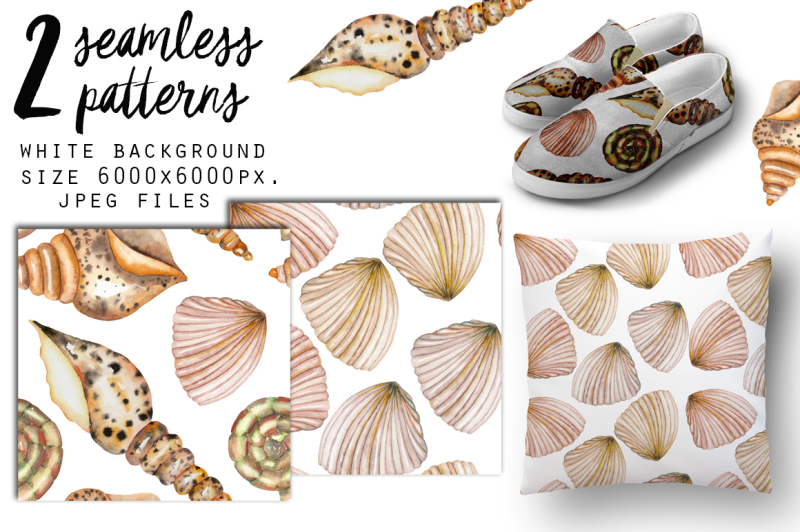 seashells-watercolor-clip-art