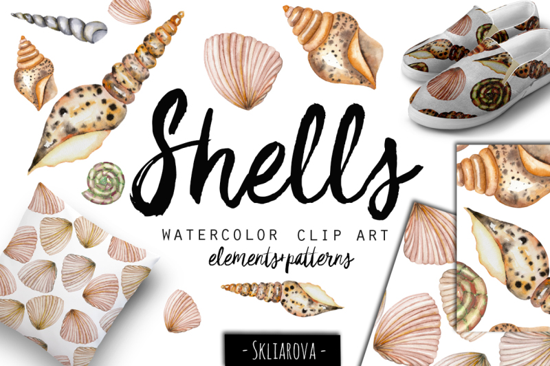 seashells-watercolor-clip-art