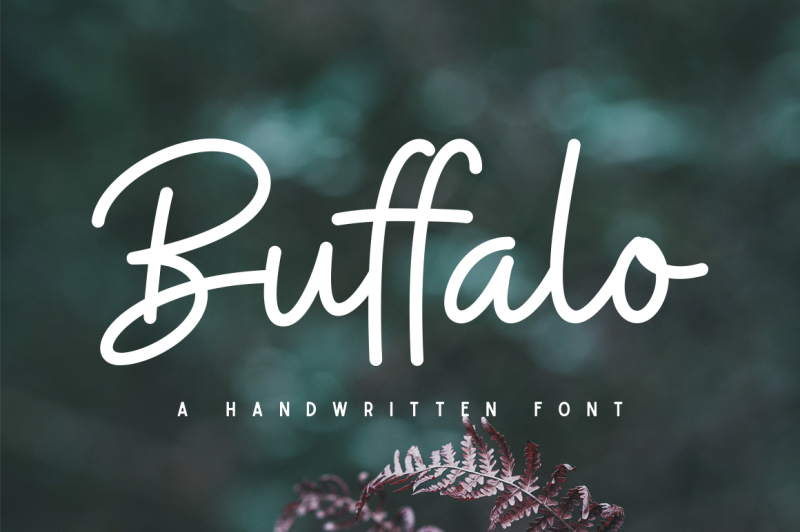 buffalo-font