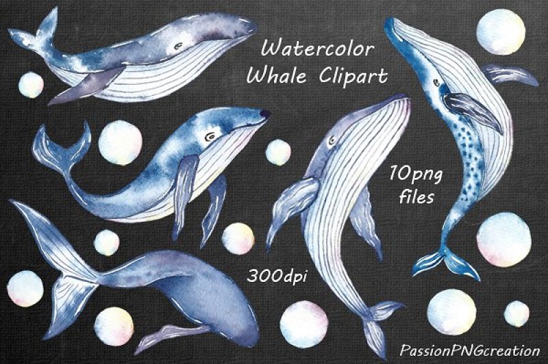 watercolor-whale-clipart