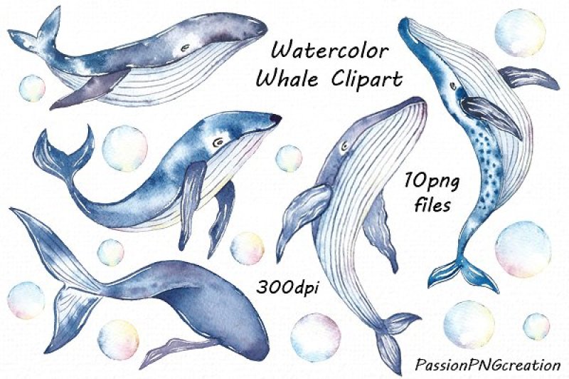 watercolor-whale-clipart
