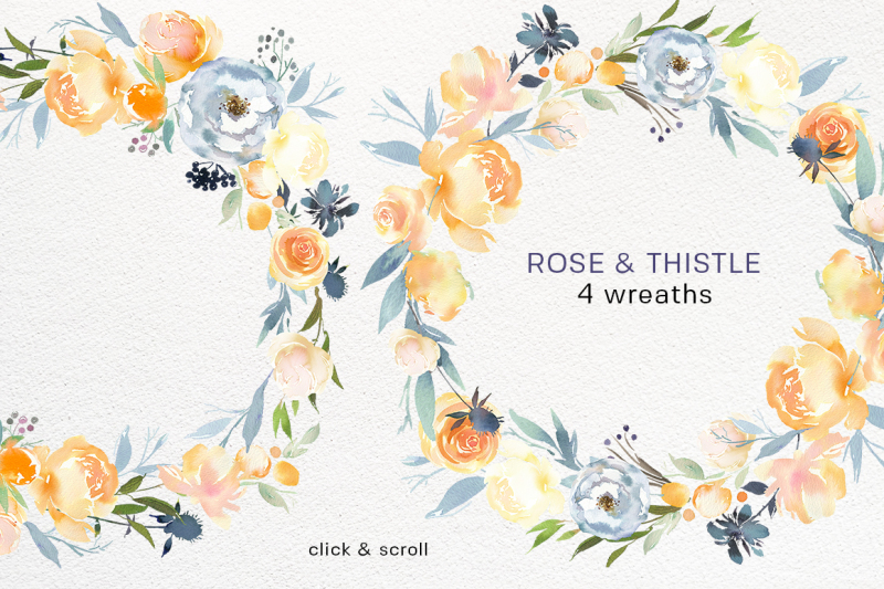 peach-roses-white-peonies-blue-thistle-watercolor-clipart-collection