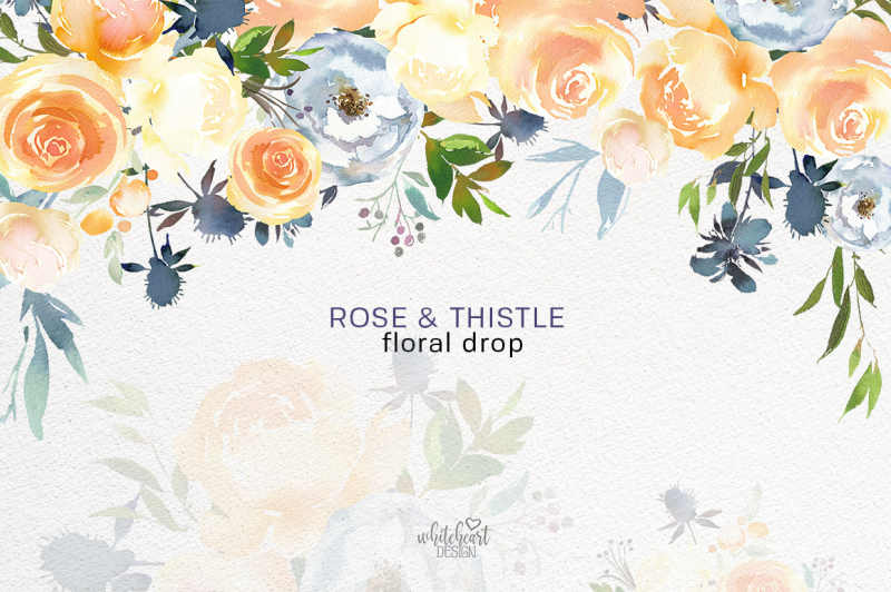 peach-roses-white-peonies-blue-thistle-watercolor-clipart-collection
