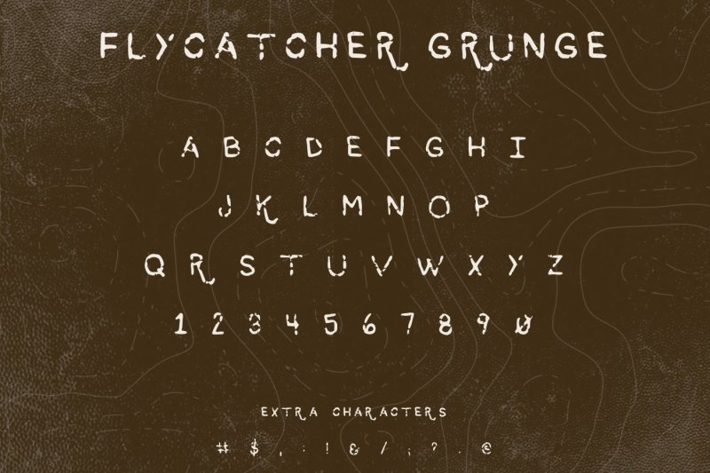 flycatcher-font