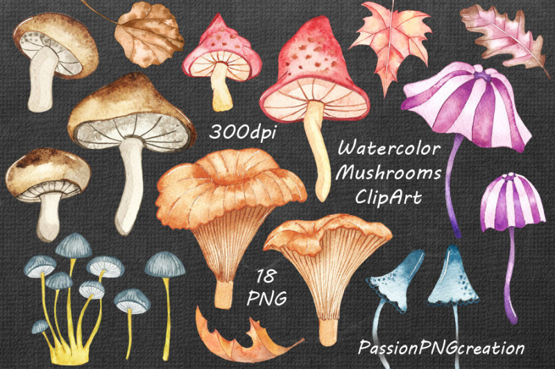 watercolor-mushrooms-clipart