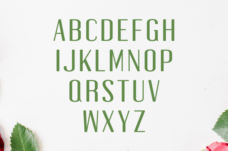 jadrien-serif-sans-duo-5-font-pack
