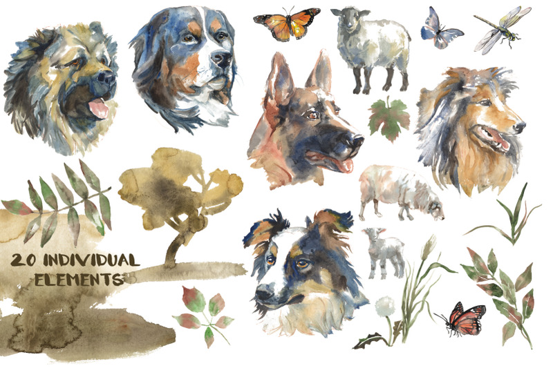 shepherd-dogs-watercolor-set