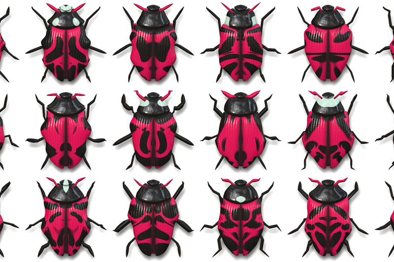10-beetle-collection-background-textures