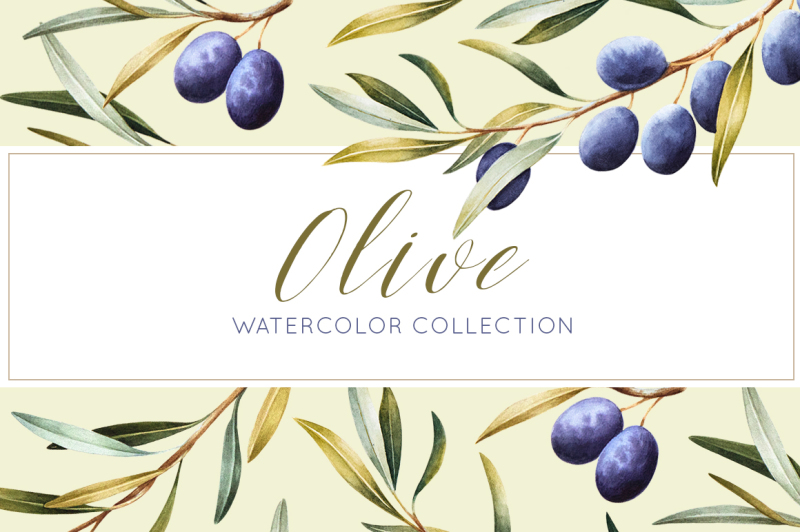 olive-watercolor-collection