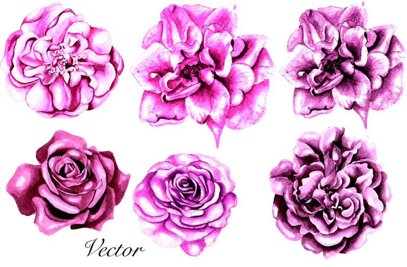 hand-drawn-watercolor-flowers-43-png-and-vector