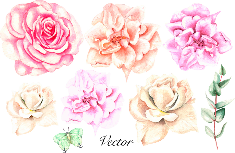 hand-drawn-watercolor-flowers-43-png-and-vector