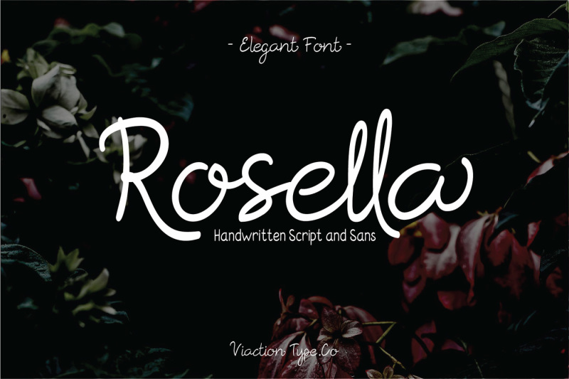rosella-script-amp-sans-font-duo