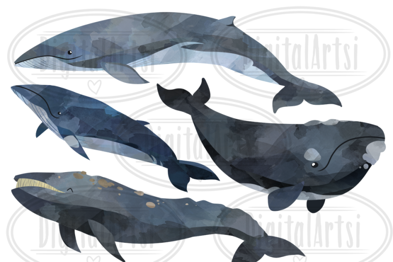 watercolor-whales-clipart