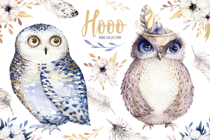 watercolor-cute-owls-hooo-collection