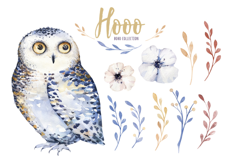 watercolor-cute-owls-hooo-collection