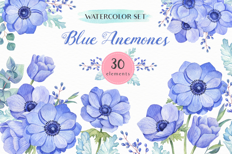 blue-anemones