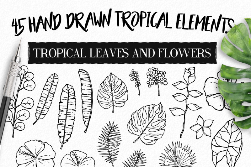 hand-drawn-tropical-logo-design-bundle