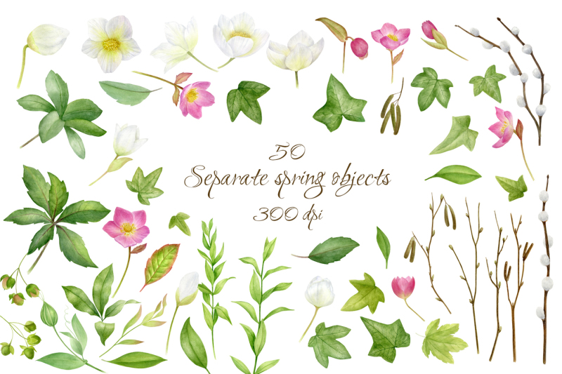 hellebore-waiting-for-spring-watercolor-clipart