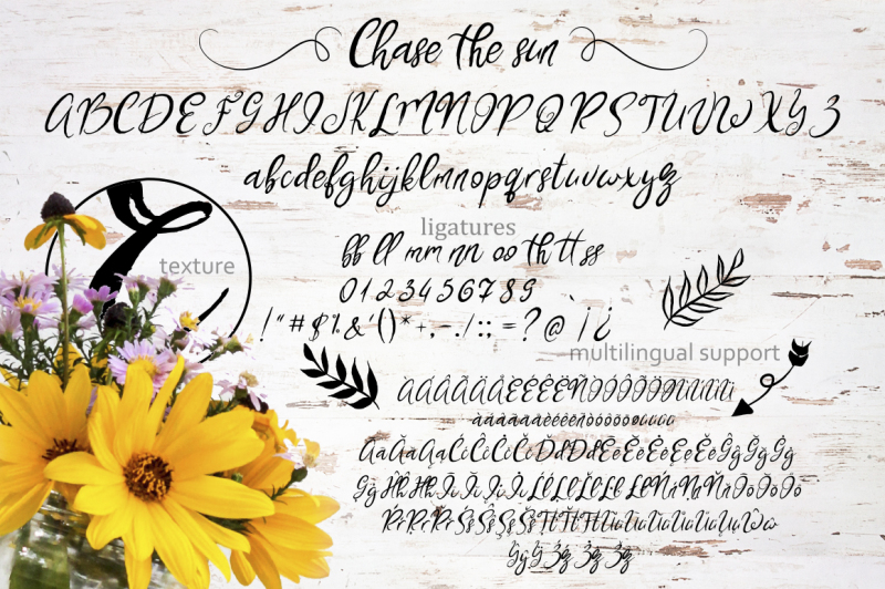 chase-the-sun-font-and-illustrations