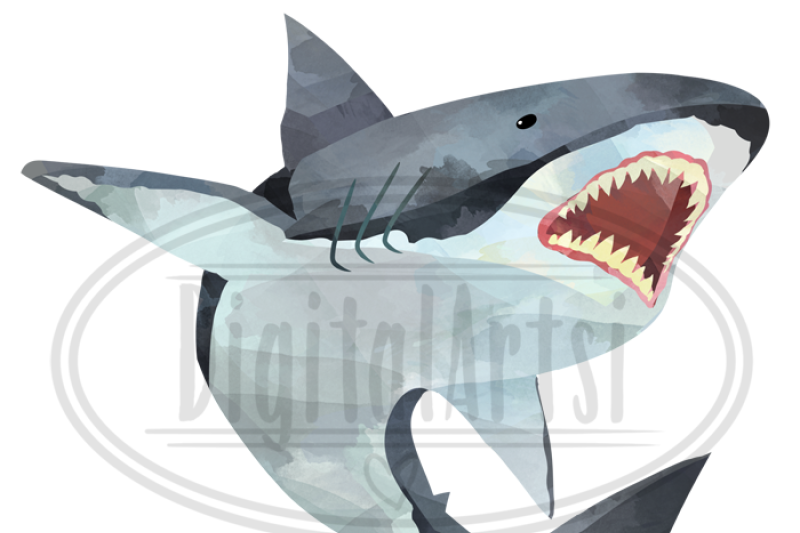 watercolor-shark-clipart