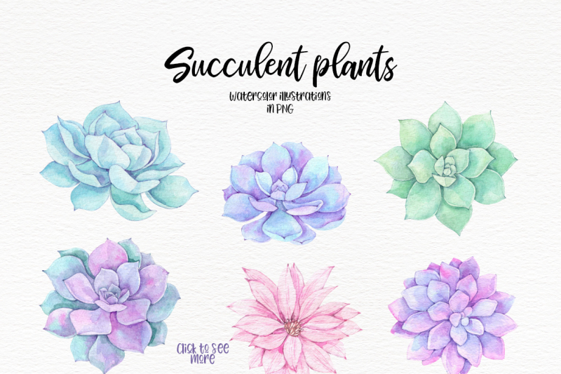 succulent-plants-watercolor-set