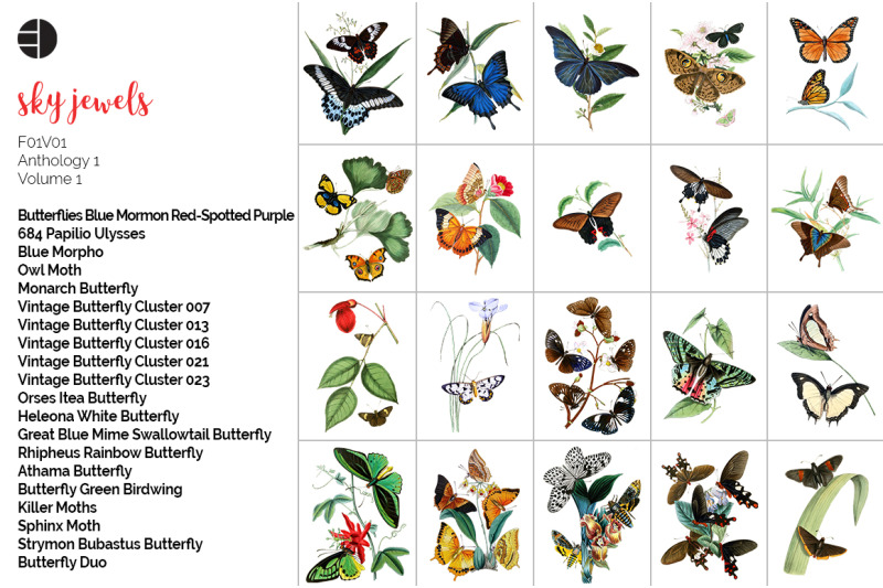 butterfly-clipart-bundle