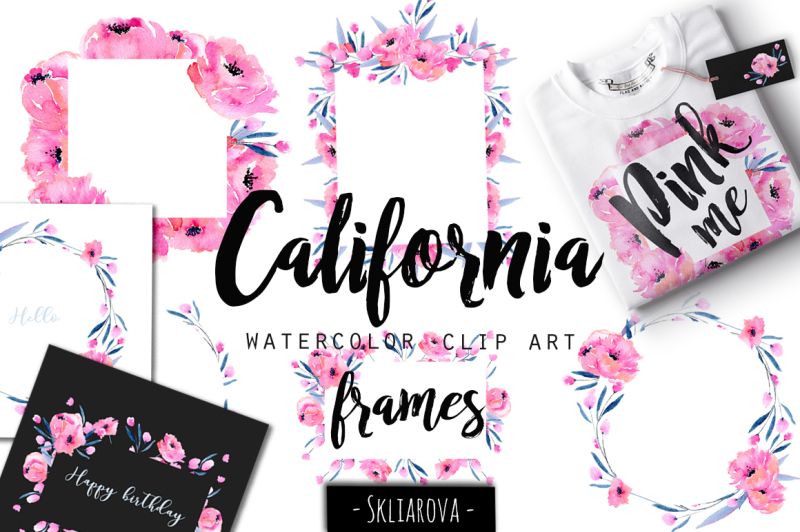 california-poppies-frames
