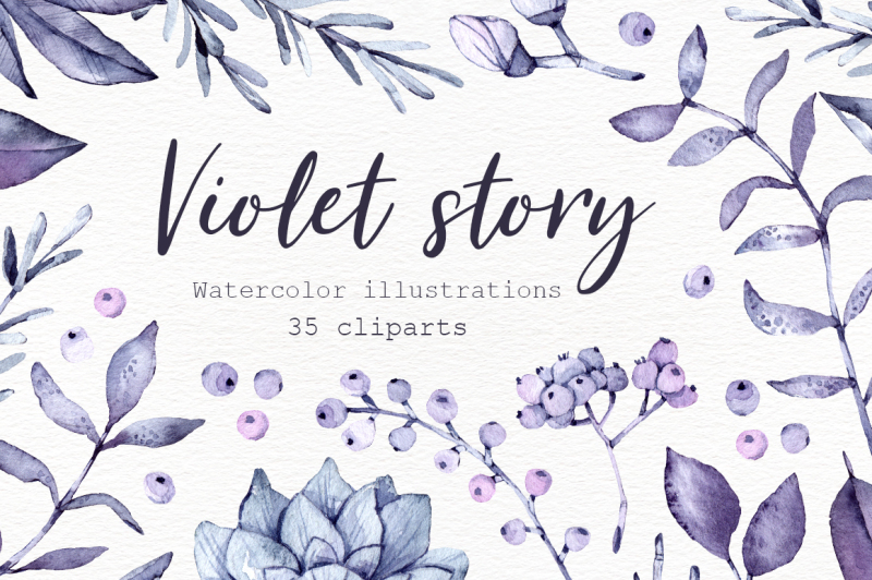 violet-story-watercolor-clipart