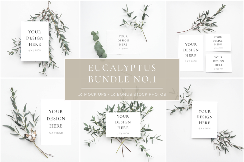 scandinavian-eucalyptus-bundle-no-1