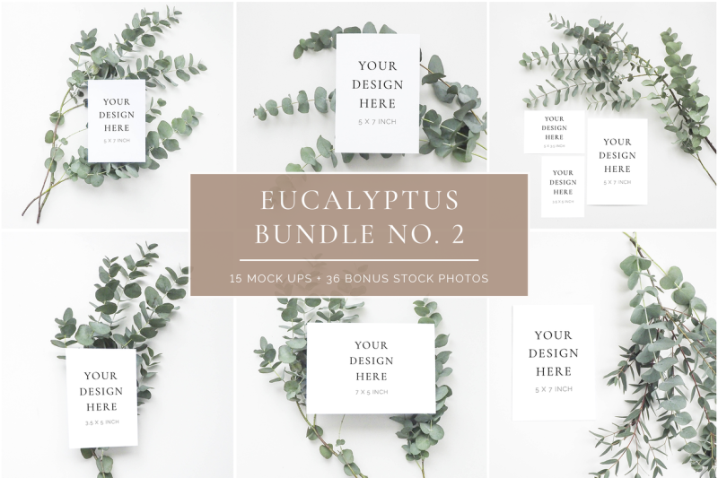 scandinavian-eucalyptus-bundle-no-2