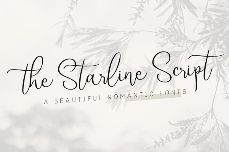 starline-beautiful-script-fonts